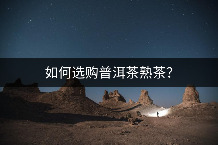 如何選購普洱茶熟茶？
