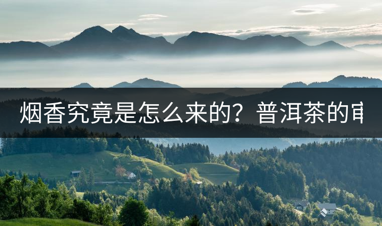 煙香究竟是怎么來(lái)的？普洱茶的審美困局。
