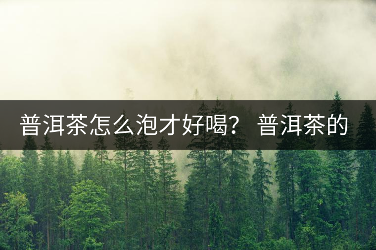 普洱茶怎么泡才好喝？ 普洱茶的沖泡技巧！