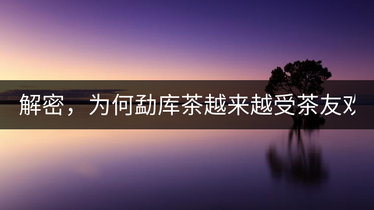 解密，為何勐庫茶越來越受茶友歡迎！