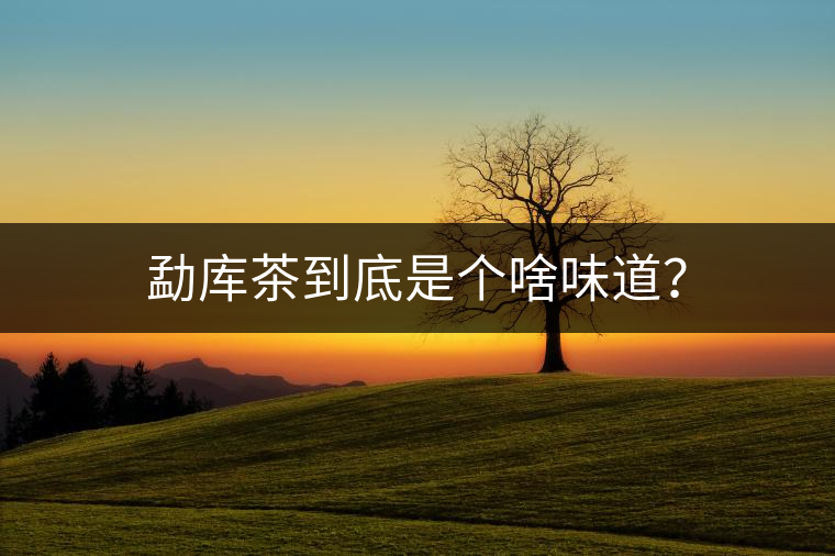 勐庫(kù)茶到底是個(gè)啥味道？