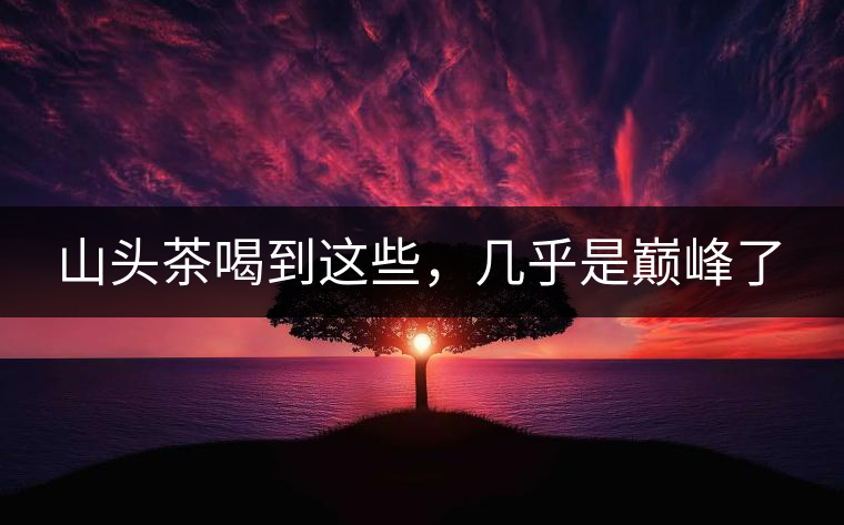 山頭茶喝到這些，幾乎是巔峰了