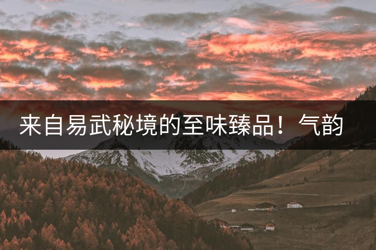 來自易武秘境的至味臻品！氣韻強(qiáng)勁，余韻深邃，一口喚醒你的味蕾~