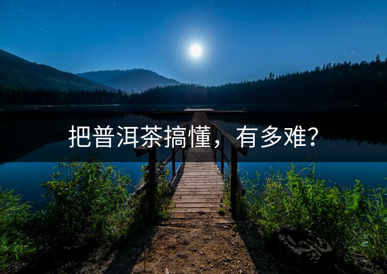 把普洱茶搞懂，有多難？