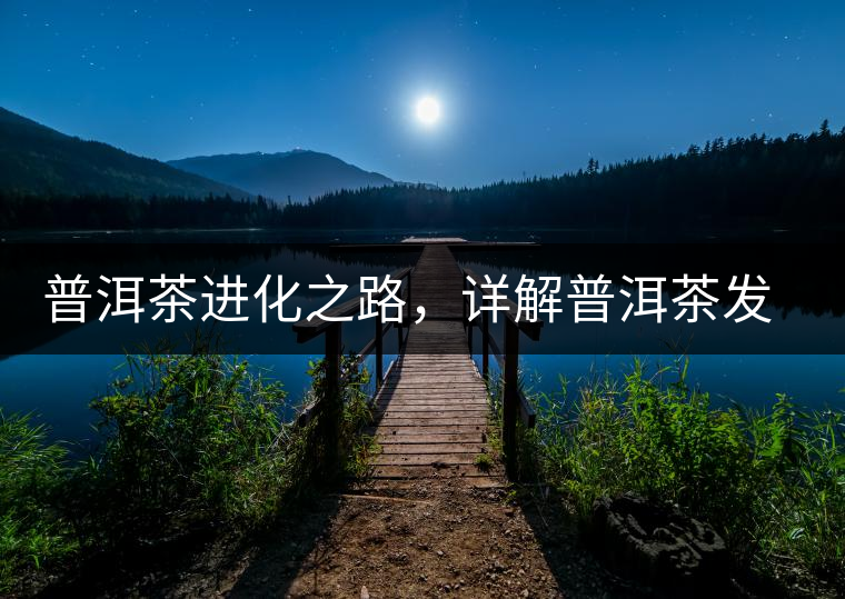普洱茶進(jìn)化之路，詳解普洱茶發(fā)展的三大重要階段