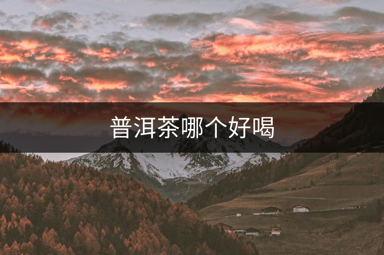 普洱茶哪個好喝