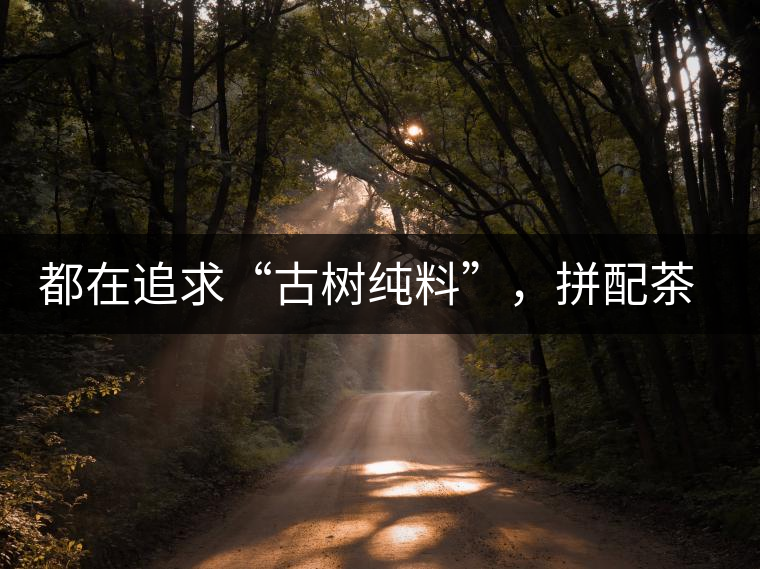 都在追求“古樹純料”，拼配茶真的不如純料的？