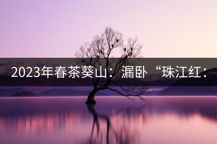 2023年春茶葵山：漏臥“珠江紅：1200元-3200元（有3個檔次）漏臥“大廠茶”：古樹單株8600-9000元／公斤，中樹4800-5200元／公斤，小樹混采2600-2800元／公斤。