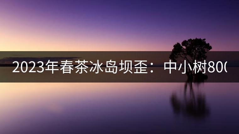 2023年春茶冰島壩歪：中小樹800元／公斤，古樹1400-1600元／公斤