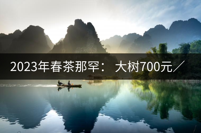 2023年春茶那罕： 大樹(shù)700元／公斤，古樹(shù)：1200-1600元／公斤