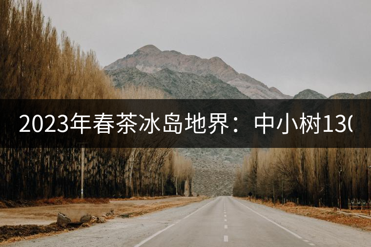 2023年春茶冰島地界：中小樹1300-1500元／公斤，古樹2200~2500元／公斤