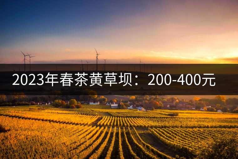 2023年春茶黃草壩：200-400元／公斤