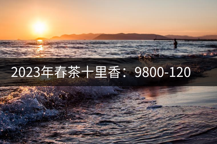 2023年春茶十里香：9800-12000元／公斤，十里香紅茶：9800-12000元／公斤