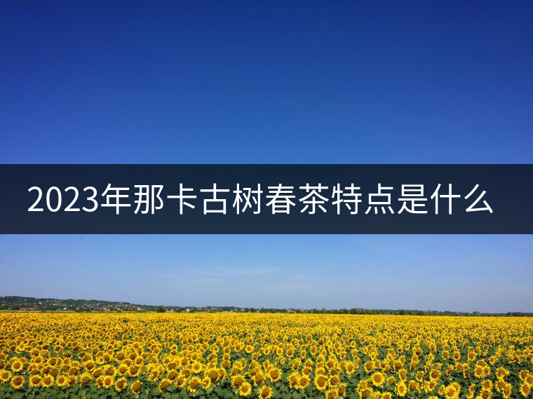 2023年那卡古樹春茶特點(diǎn)是什么？