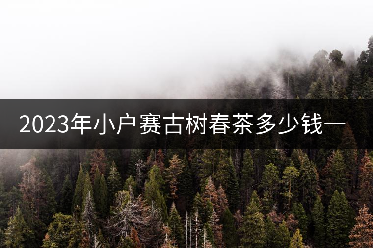 2023年小戶賽古樹春茶多少錢一公斤？