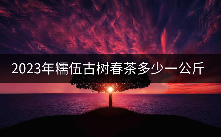 2023年糯伍古樹(shù)春茶多少一公斤？