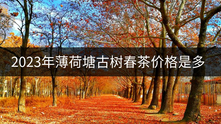 2023年薄荷塘古樹(shù)春茶價(jià)格是多少？