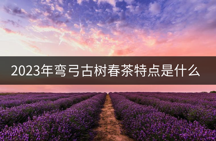 2023年彎弓古樹春茶特點是什么？