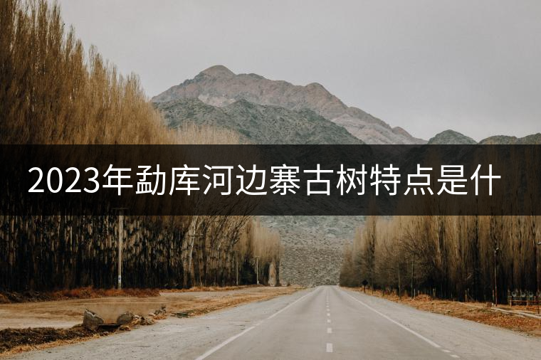 2023年勐庫河邊寨古樹特點(diǎn)是什么？