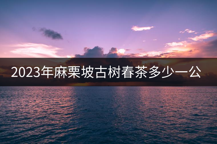 2023年麻栗坡古樹春茶多少一公斤？