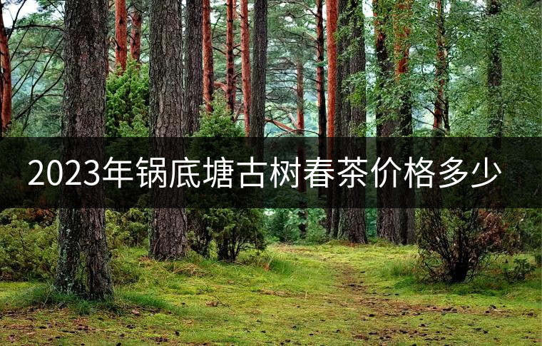 2023年鍋底塘古樹春茶價格多少？