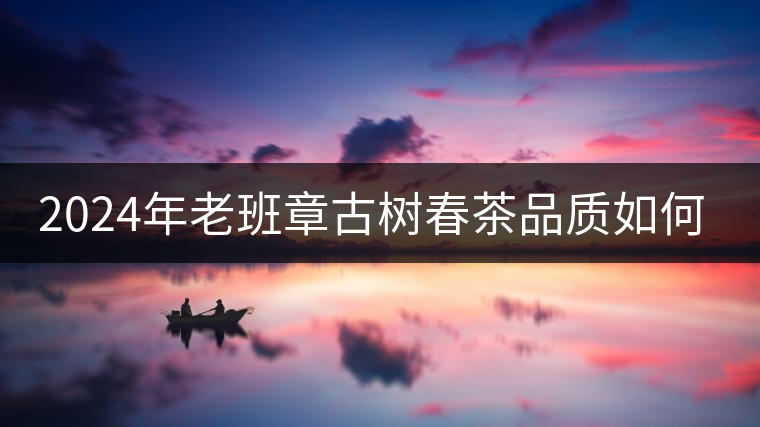 2024年老班章古樹春茶品質(zhì)如何？