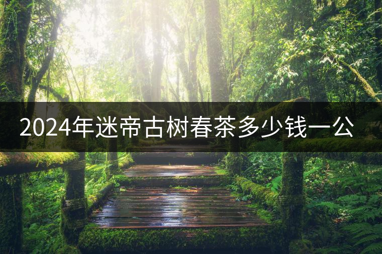 2024年迷帝古樹春茶多少錢一公斤？