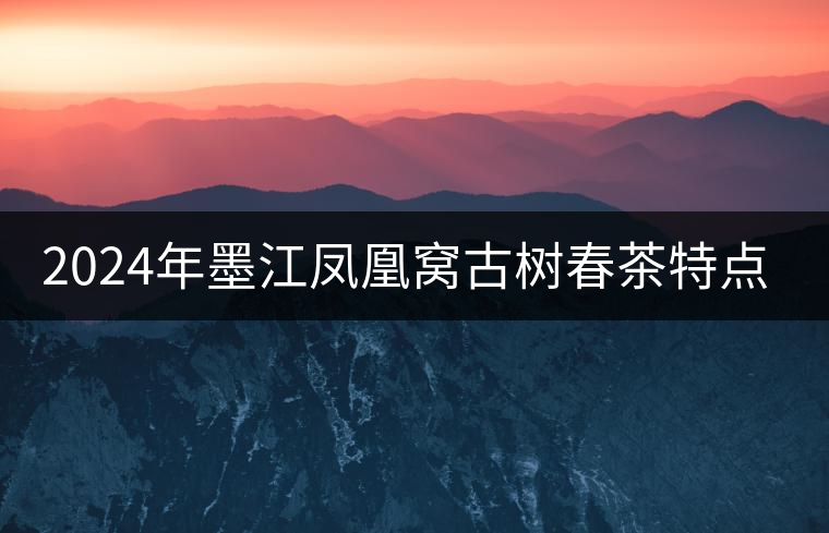 2024年墨江鳳凰窩古樹春茶特點是什么？