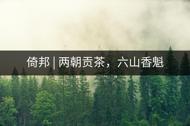 倚邦 | 兩朝貢茶，六山香魁