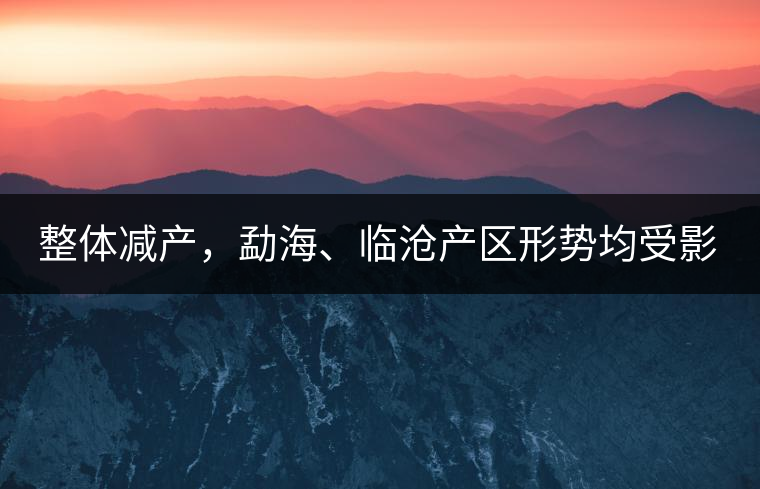 整體減產(chǎn)，勐海、臨滄產(chǎn)區(qū)形勢均受影響