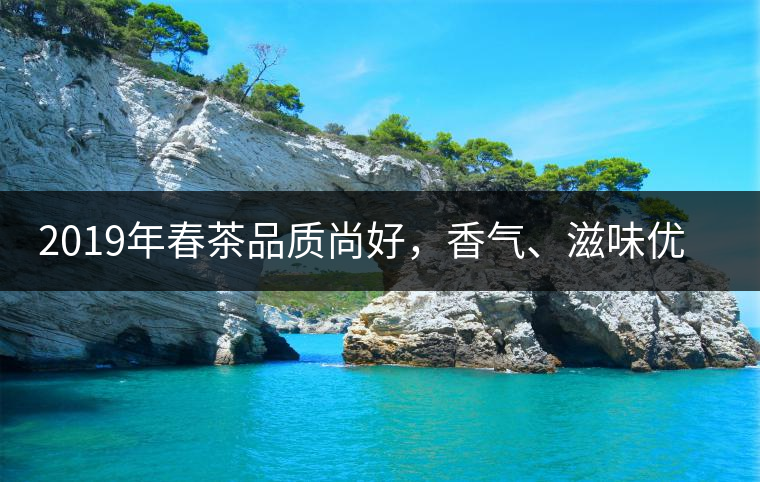 2019年春茶品質(zhì)尚好，香氣、滋味優(yōu)于去年