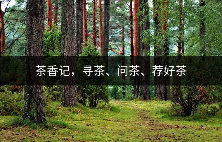 茶香記，尋茶、問(wèn)茶、薦好茶