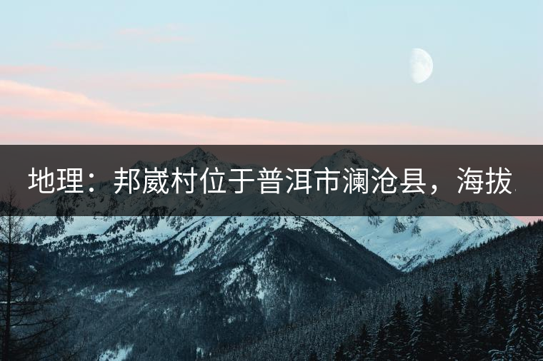 地理：邦崴村位于普洱市瀾滄縣，海拔1800-2000多米，這里的古樹茶被原始森林環(huán)抱，遠(yuǎn)離塵囂污染，沒有農(nóng)藥化肥。