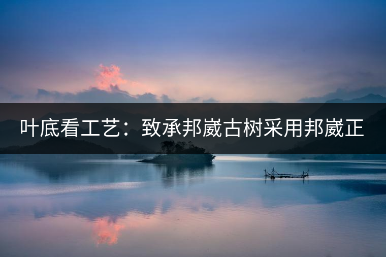 葉底看工藝：致承邦崴古樹采用邦崴正山三百至五百年古茶樹頭春鮮葉。經(jīng)手工殺青，石墨壓制，餅型周正，嚴(yán)守傳統(tǒng)工藝；葉底鮮活，幾乎無糊點(diǎn)，前期殺青較輕，這樣更利于后期轉(zhuǎn)化。