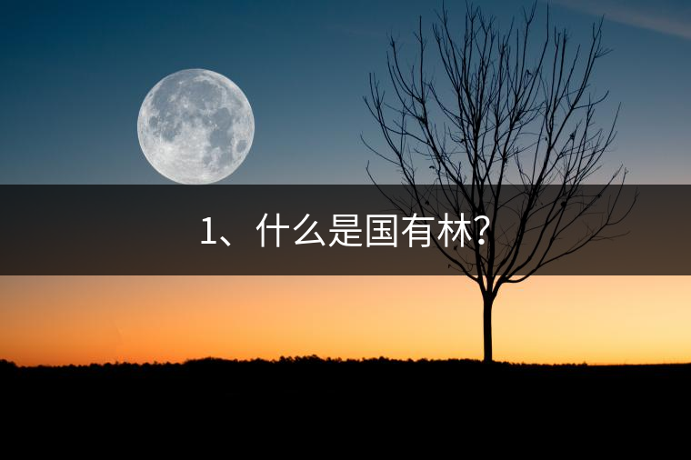 1、什么是國有林？