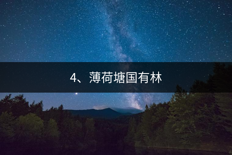 4、薄荷塘國有林