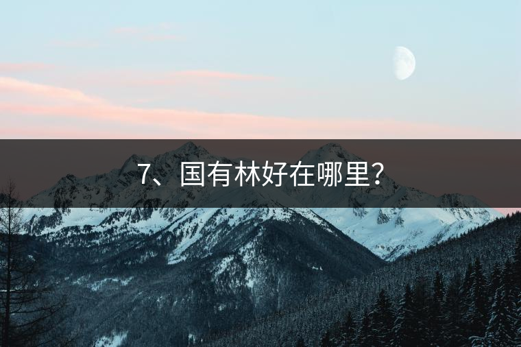 7、國有林好在哪里？