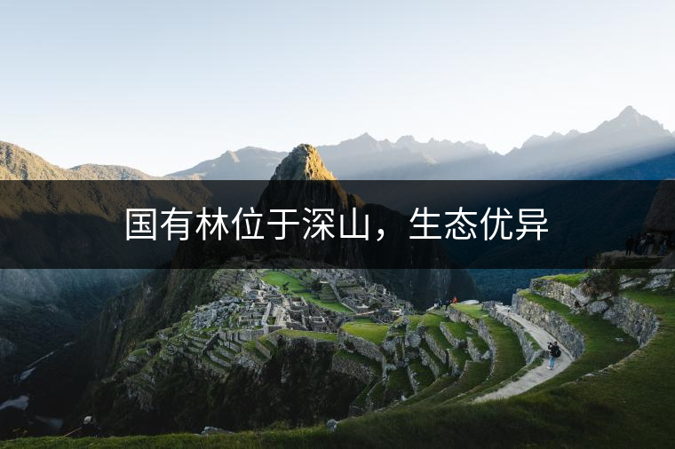 國有林位于深山，生態(tài)優(yōu)異