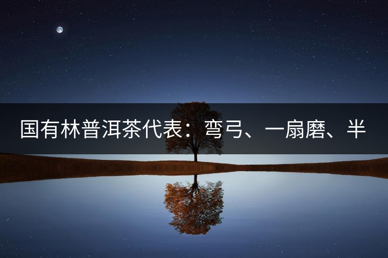 國有林普洱茶代表：彎弓、一扇磨、半坡老寨
