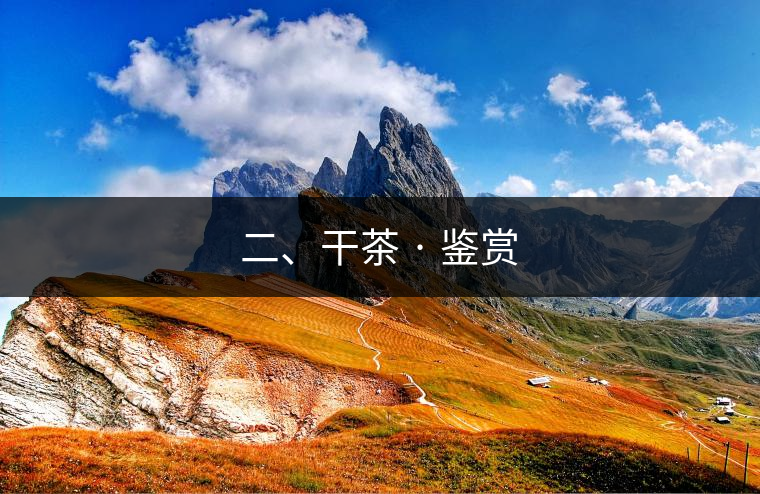 二、干茶 · 鑒賞