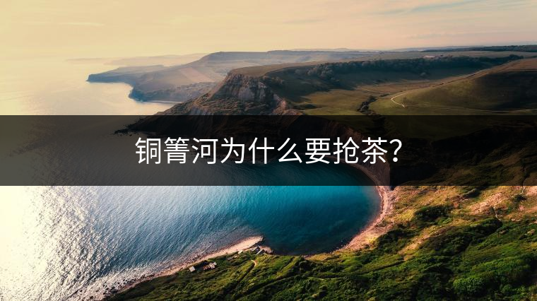 銅箐河為什么要搶茶？