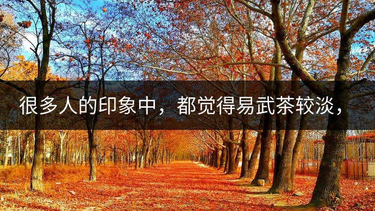 很多人的印象中，都覺得易武茶較淡，但存放幾年后，再喝又覺得茶味茶氣變濃了。我們就這個(gè)問題，考察了易武古茶山，和走訪了當(dāng)?shù)夭柁r(nóng)。我們發(fā)現(xiàn)這跟易武古樹茶的茶質(zhì)和茶農(nóng)制茶的傳統(tǒng)工藝有關(guān)。