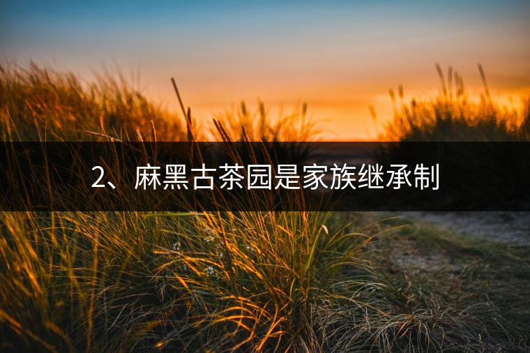 2、麻黑古茶園是家族繼承制