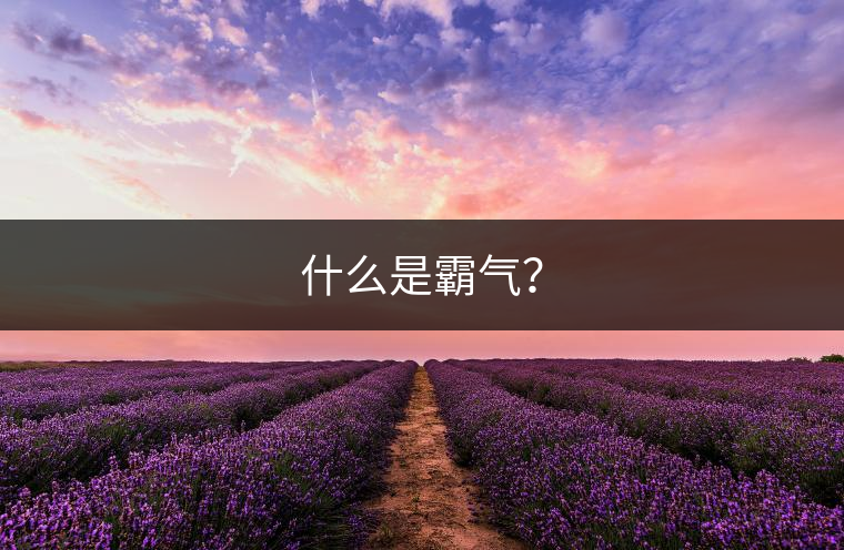 什么是霸氣？