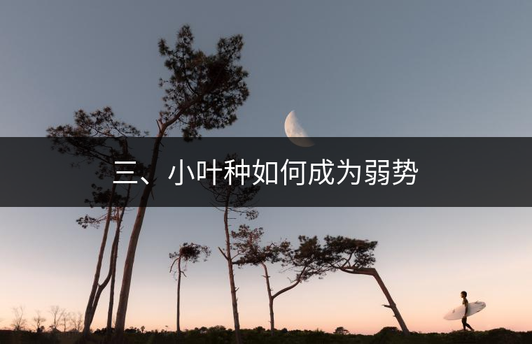 三、小葉種如何成為弱勢