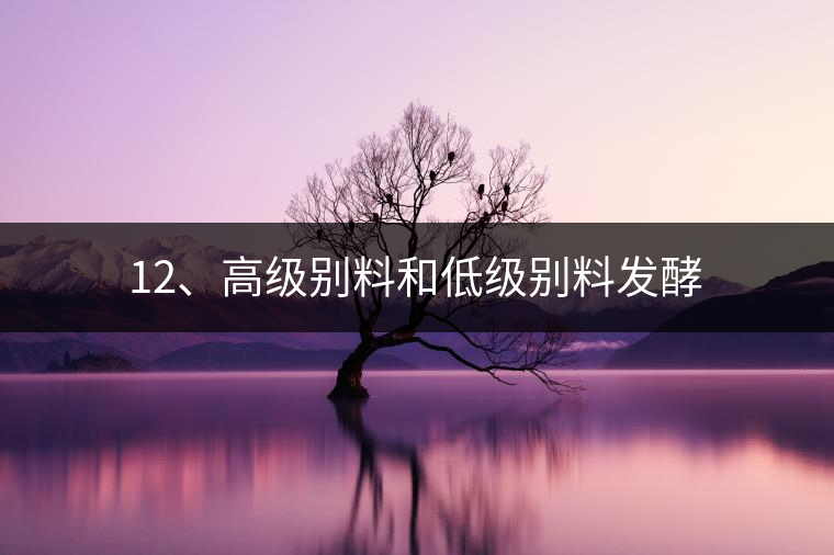 12、高級別料和低級別料發(fā)酵