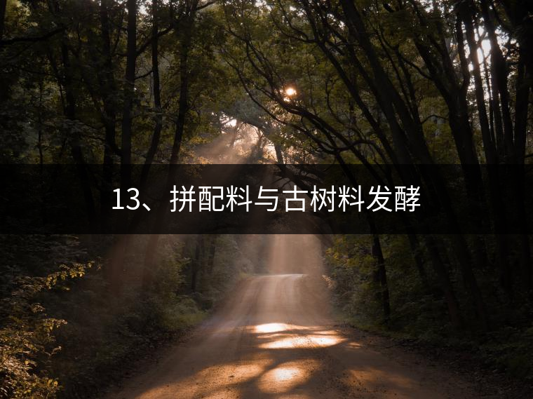 13、拼配料與古樹料發(fā)酵
