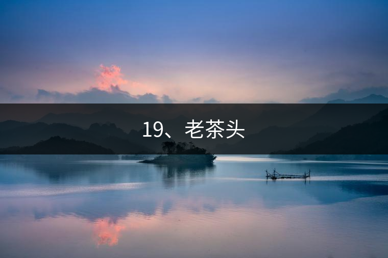 19、老茶頭