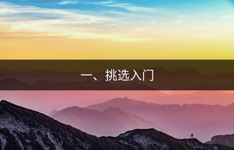 一、挑選入門