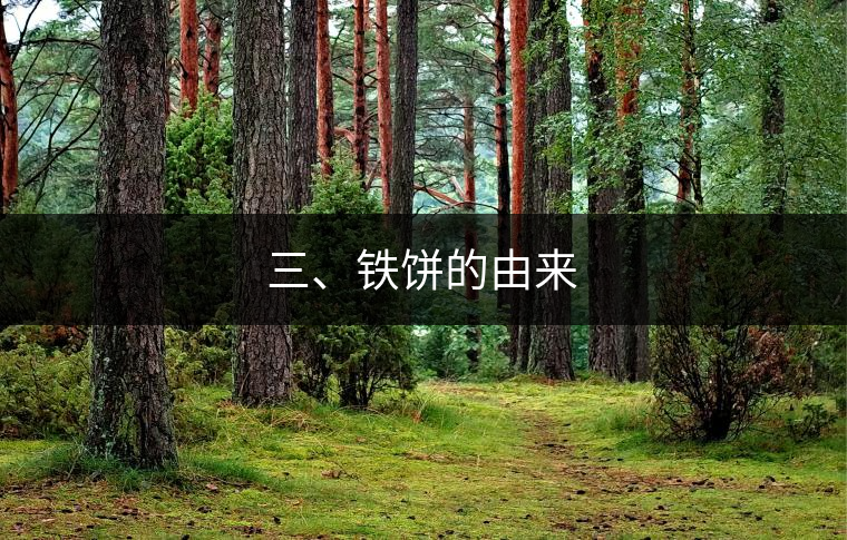 三、鐵餅的由來